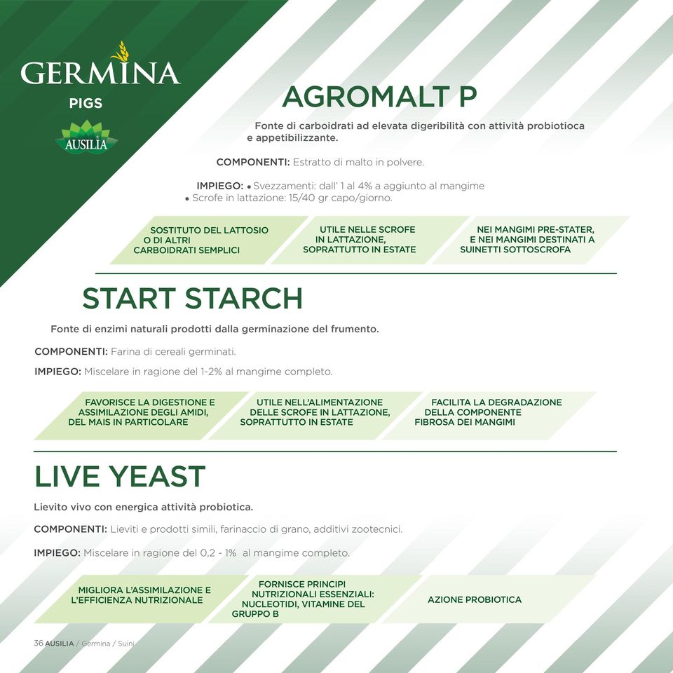 Sostituto del lattosio o di altri carboidrati semplici Utile nelle scrofe in lattazione, soprattutto in estate Nei mangimi pre-stater, e nei mangimi destinati a suinetti sottoscrofa START STARCH