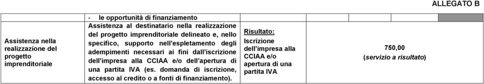 fini dall iscrizione dell impresa alla CCIAA e/o dell apertura di una partita IVA (es.