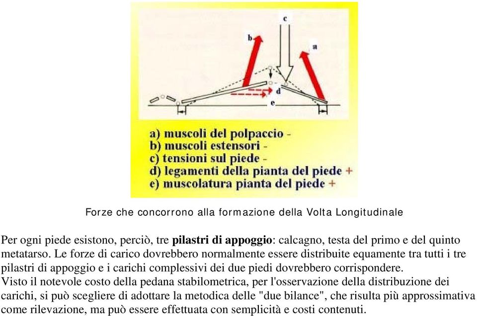 Le forze di carico dovrebbero normalmente essere distribuite equamente tra tutti i tre pilastri di appoggio e i carichi complessivi dei due piedi