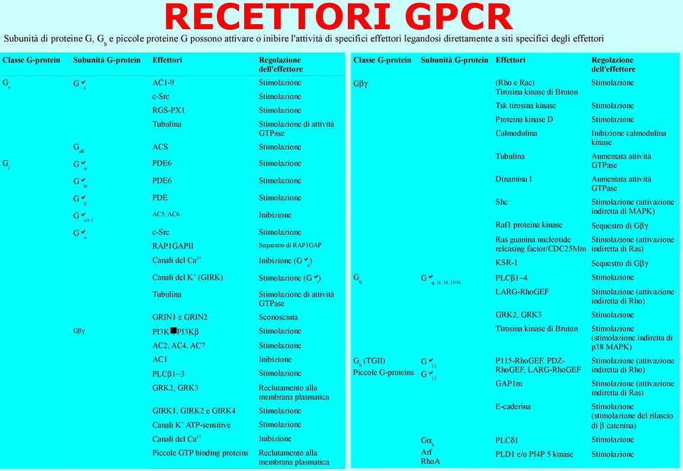 G-protein Effettori Regolazione dell'effettore (Rho e Rac) Tirosina kinase di Bruton Stimolazione Tsk tirosina kinase Stimolazione Proteina kinase D Stimolazione Calmodulina Inibizione calmodulina