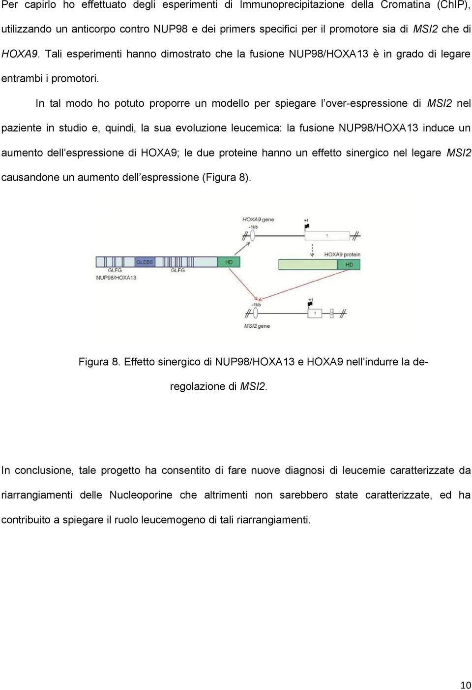 In tal modo ho potuto proporre un modello per spiegare l over-espressione di MSI2 nel paziente in studio e, quindi, la sua evoluzione leucemica: la fusione NUP98/HOXA13 induce un aumento dell