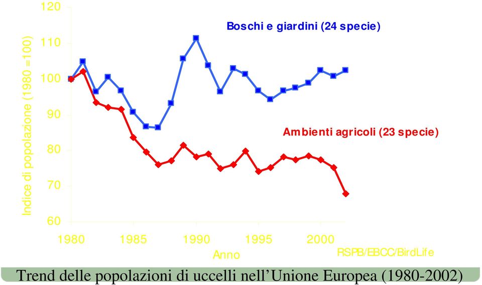specie) 1980 1985 1990 1995 2000 Anno RSPB/EBCC/BirdLife