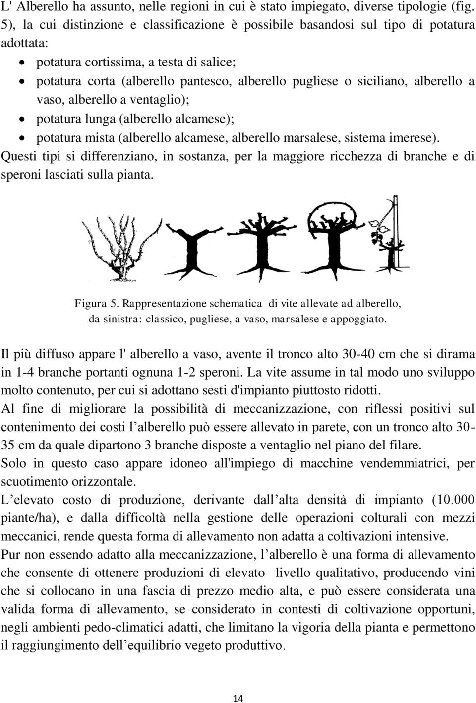 siciliano, alberello a vaso, alberello a ventaglio); potatura lunga (alberello alcamese); potatura mista (alberello alcamese, alberello marsalese, sistema imerese).