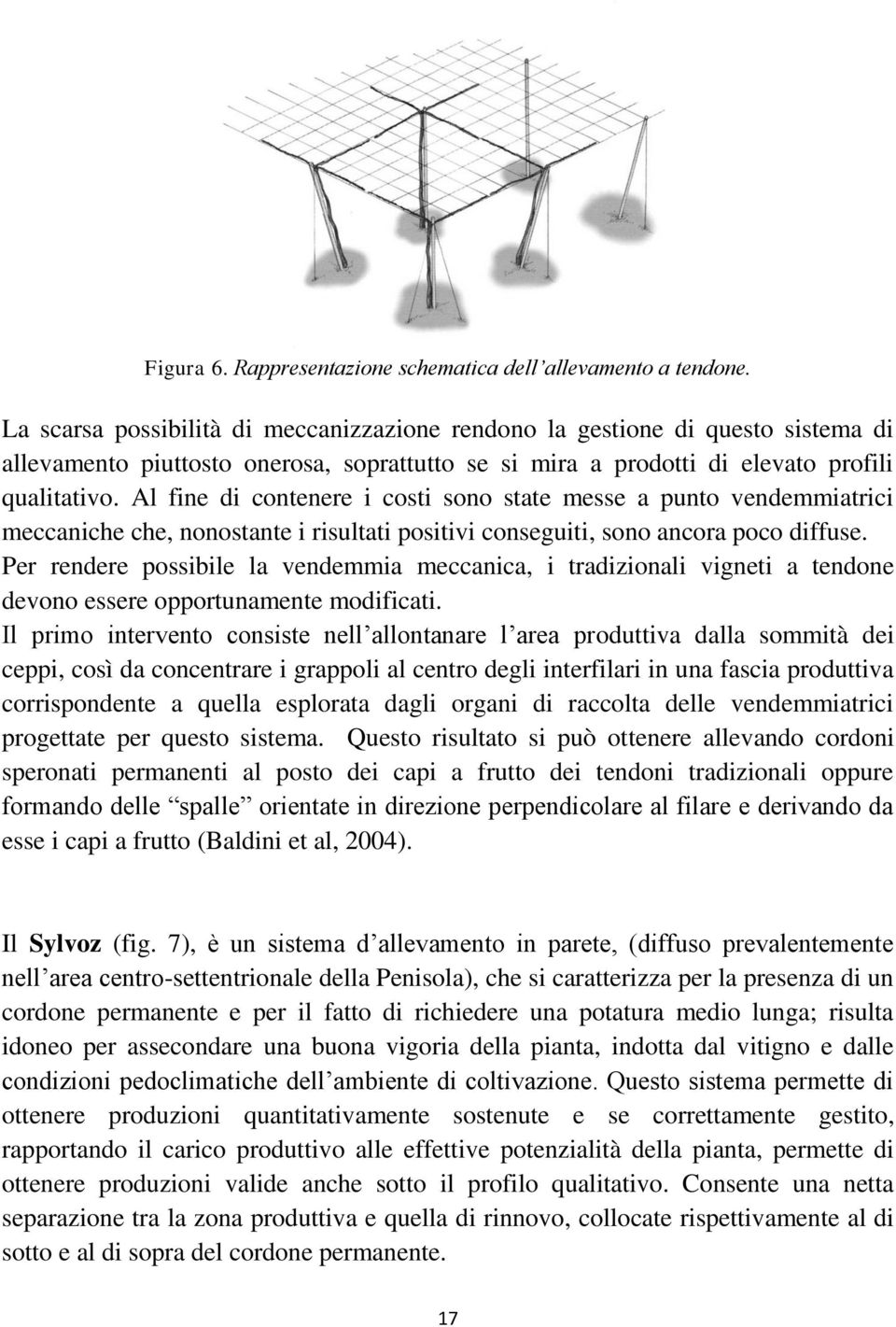 Al fine di contenere i costi sono state messe a punto vendemmiatrici meccaniche che, nonostante i risultati positivi conseguiti, sono ancora poco diffuse.