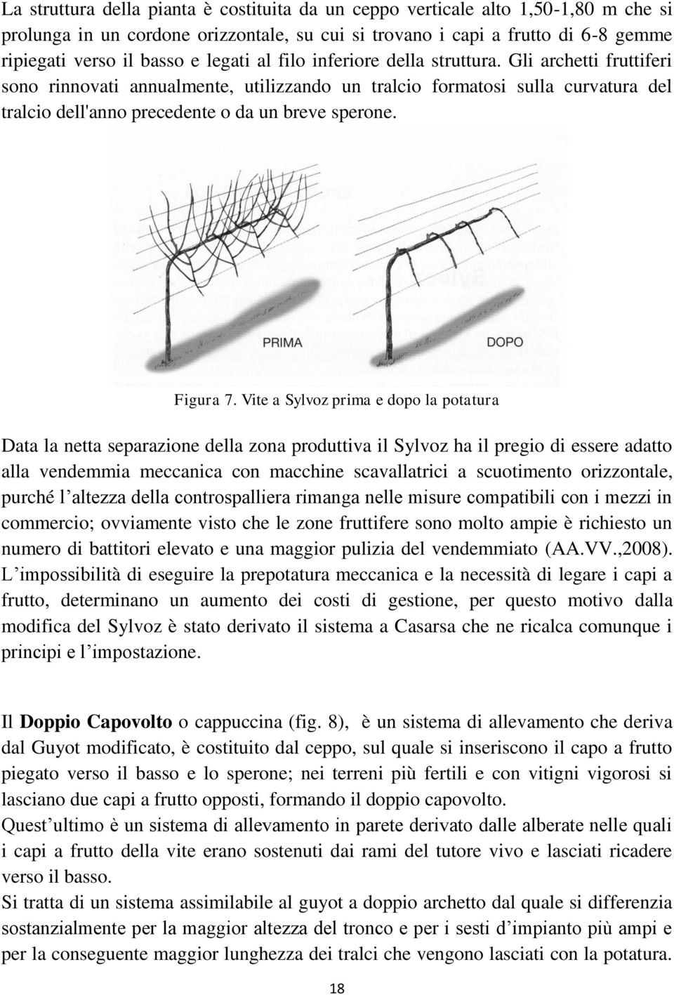 Figura 7.