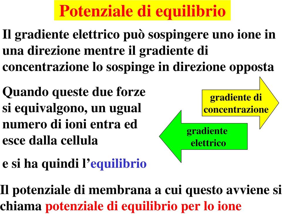 ugual numero di ioni entra ed esce dalla cellula e si ha quindi l equilibrio gradiente di concentrazione