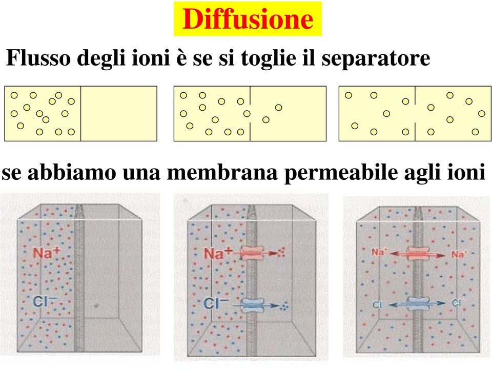 separatore se abbiamo una