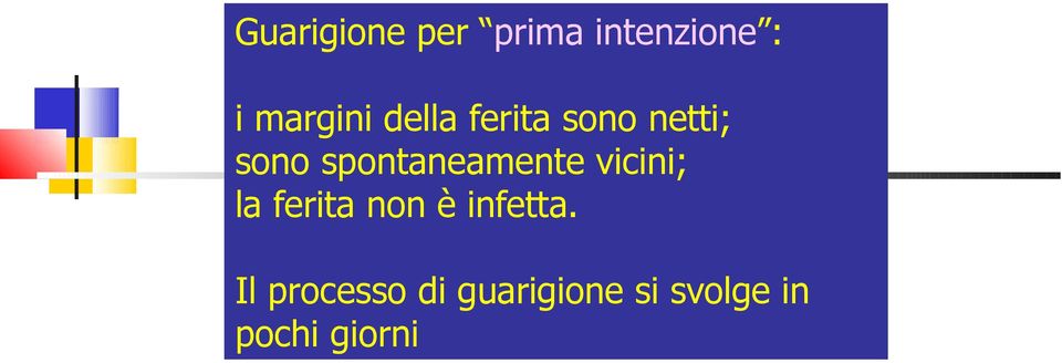 spontaneamente vicini; la ferita non è