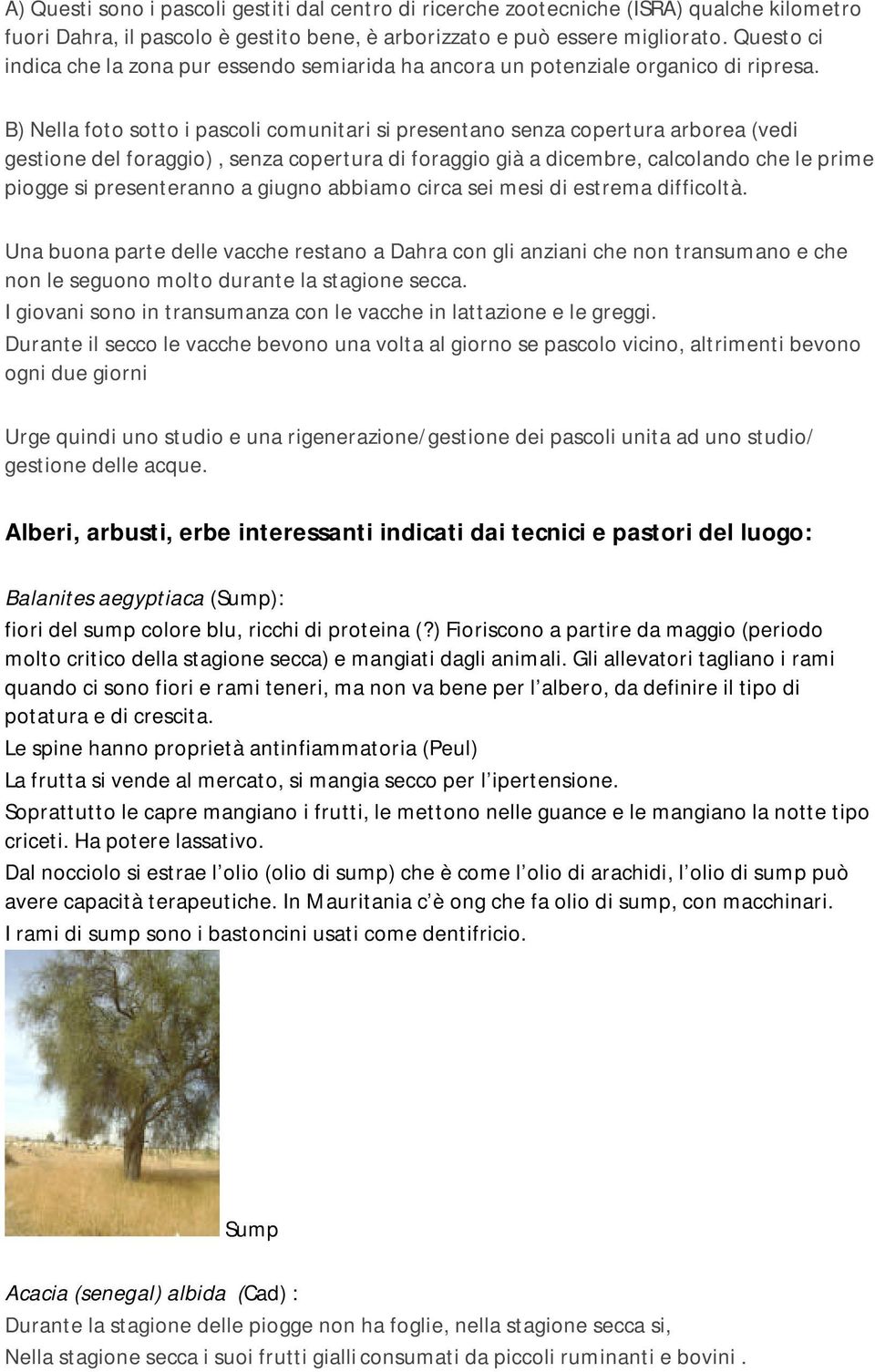 B) Nella foto sotto i pascoli comunitari si presentano senza copertura arborea (vedi gestione del foraggio), senza copertura di foraggio già a dicembre, calcolando che le prime piogge si