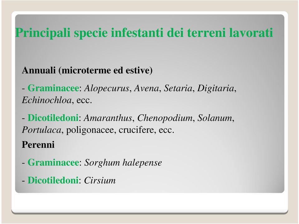 ecc. - Dicotiledoni: Amaranthus, Chenopodium, Solanum, Portulaca,