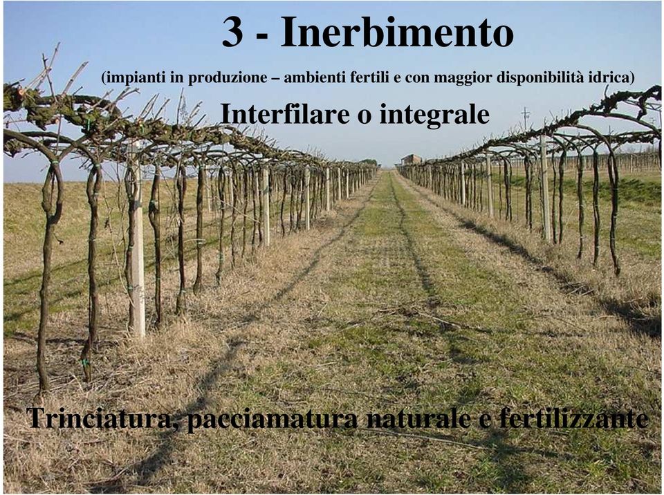 disponibilità idrica) Interfilare o