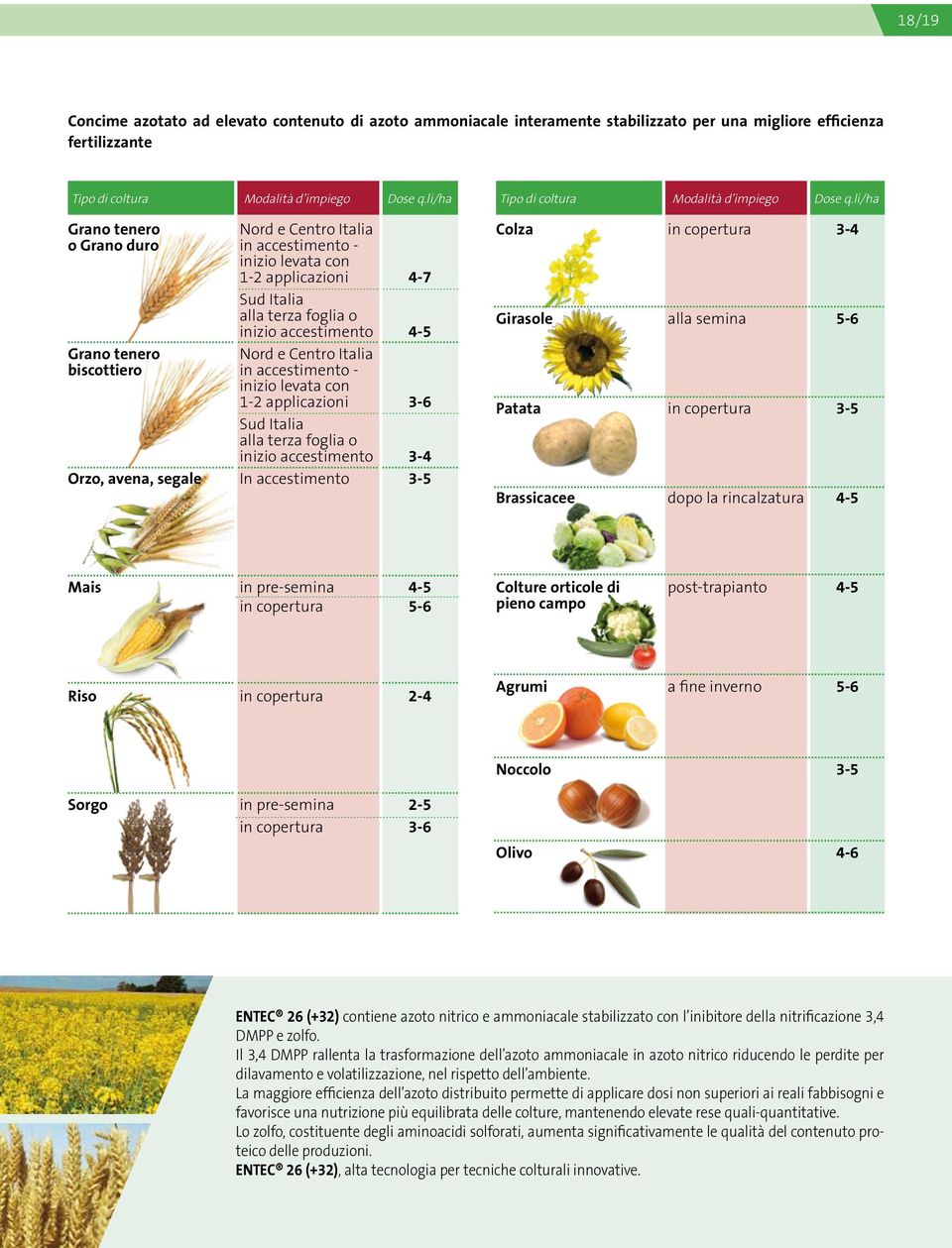 applicazioni Sud Italia alla terza foglia o inizio accestimento In accestimento 4-7 3-6 3-5 Colza Girasole Patata Brassicacee dopo la rincalzatura 5-6 3-5 Mais 5-6 Colture orticole di pieno campo