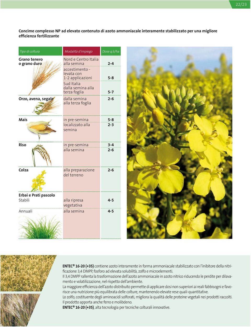 Erbai e Prati pascolo Stabili Annuali alla ripresa vegetativa ENTEC 16-20 (+35) contiene azoto interamente in forma ammoniacale stabilizzato con l inibitore della nitrificazione 3,4 DMPP, fosforo ad