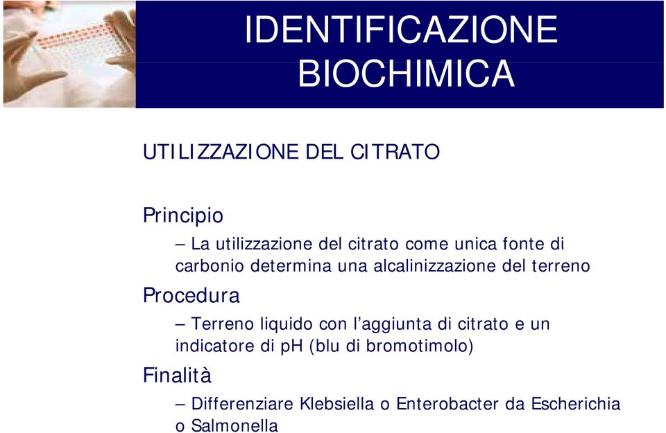 liquido con l aggiunta di citrato e un indicatore di ph (blu di