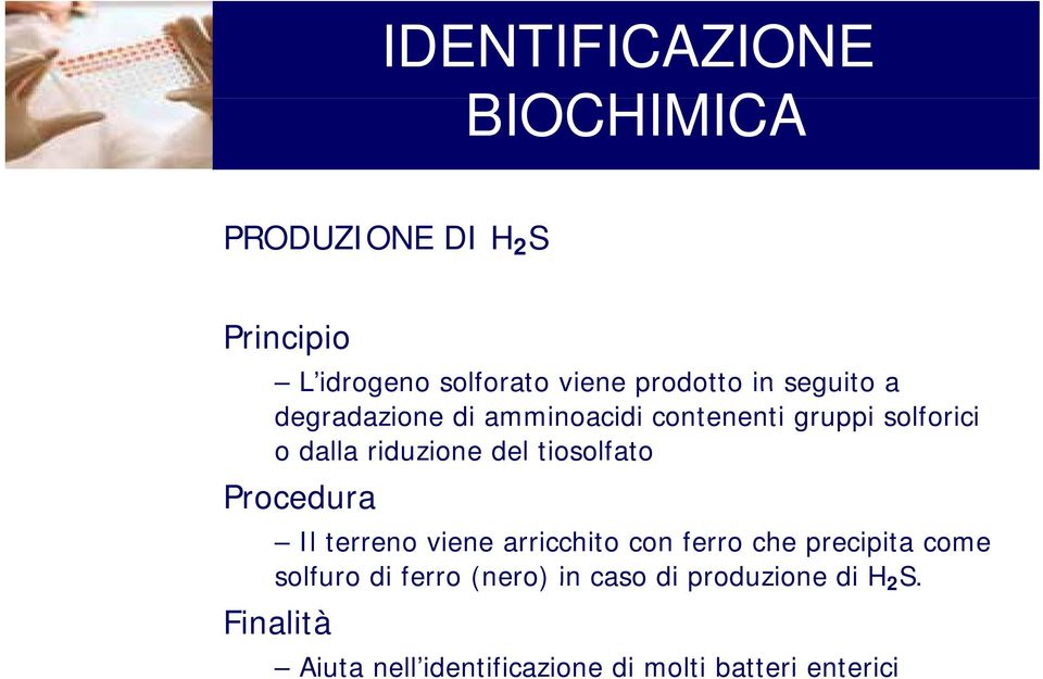 tiosolfato Il terreno viene arricchito con ferro che precipita come solfuro di