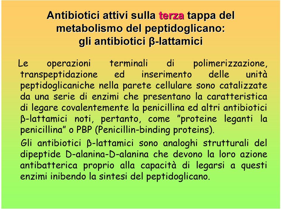 penicillina ed altri antibiotici β-lattamici noti, pertanto, come proteine leganti la penicillina o PBP (Penicillin-binding proteins).