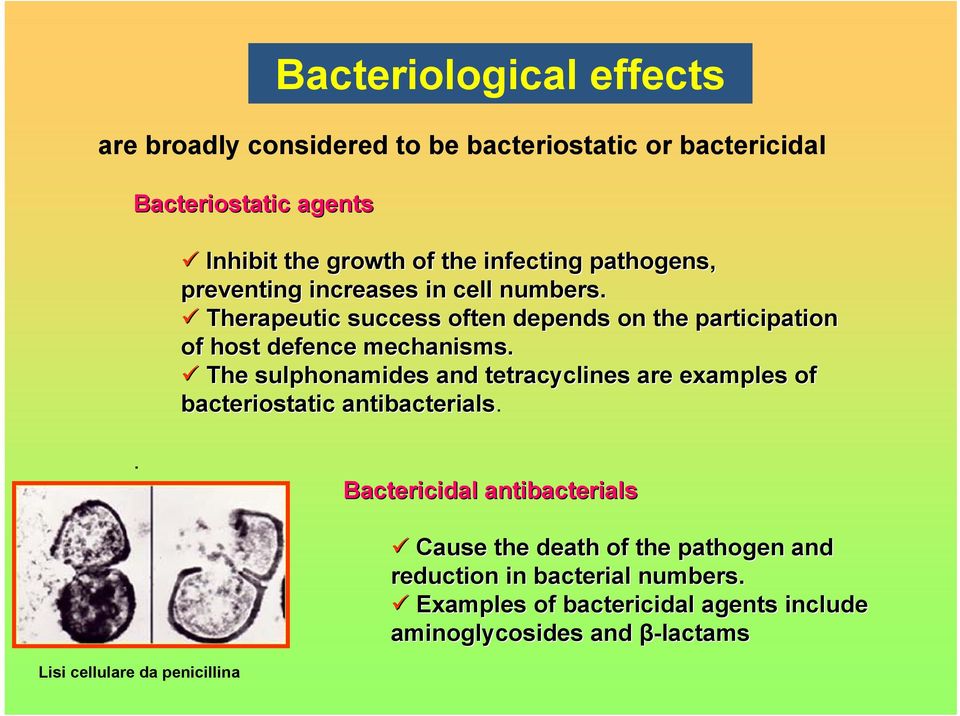 Therapeutic success often depends on the participation of host defence mechanisms.