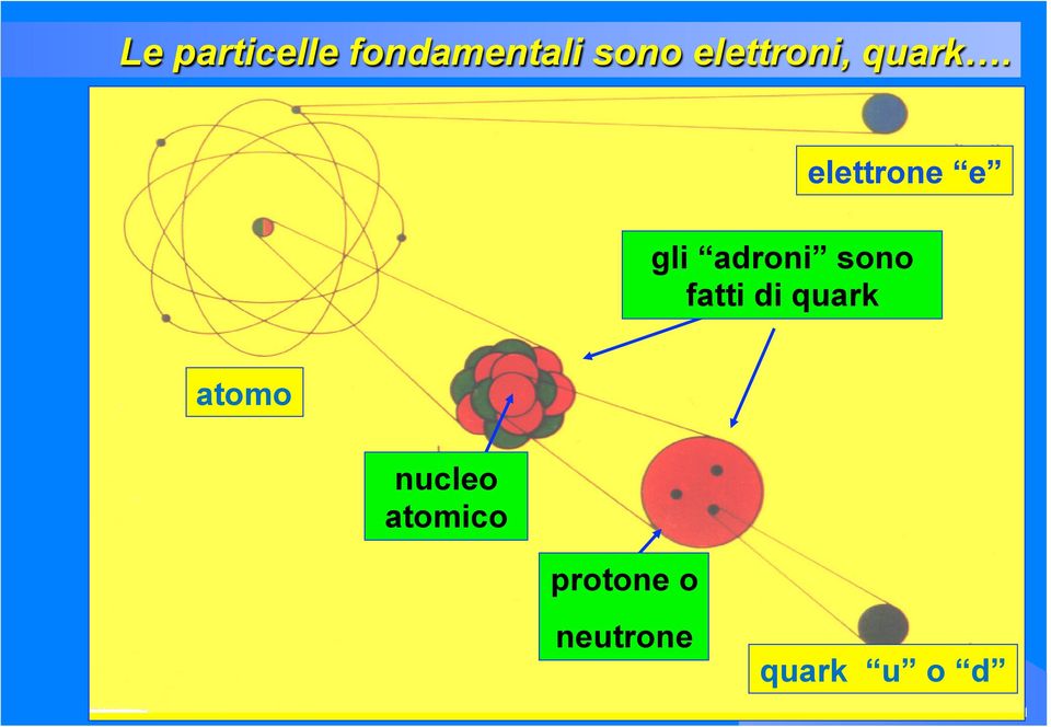 elettrone e gli adroni sono fatti di