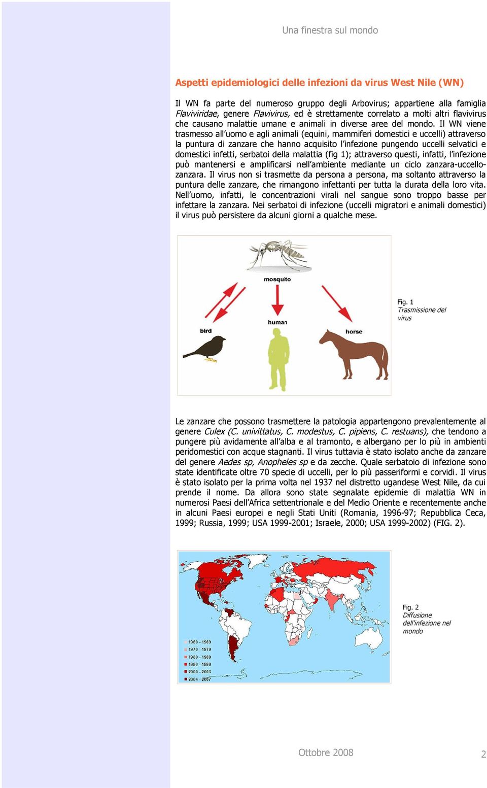 Il WN viene trasmesso all uomo e agli animali (equini, mammiferi domestici e uccelli) attraverso la puntura di zanzare che hanno acquisito l infezione pungendo uccelli selvatici e domestici infetti,