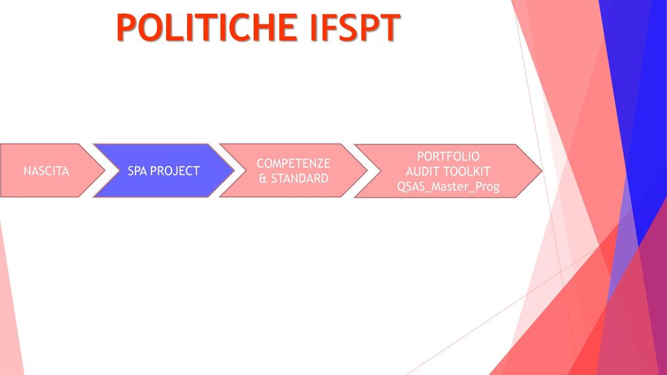 STANDARD PORTFOLIO AUDIT