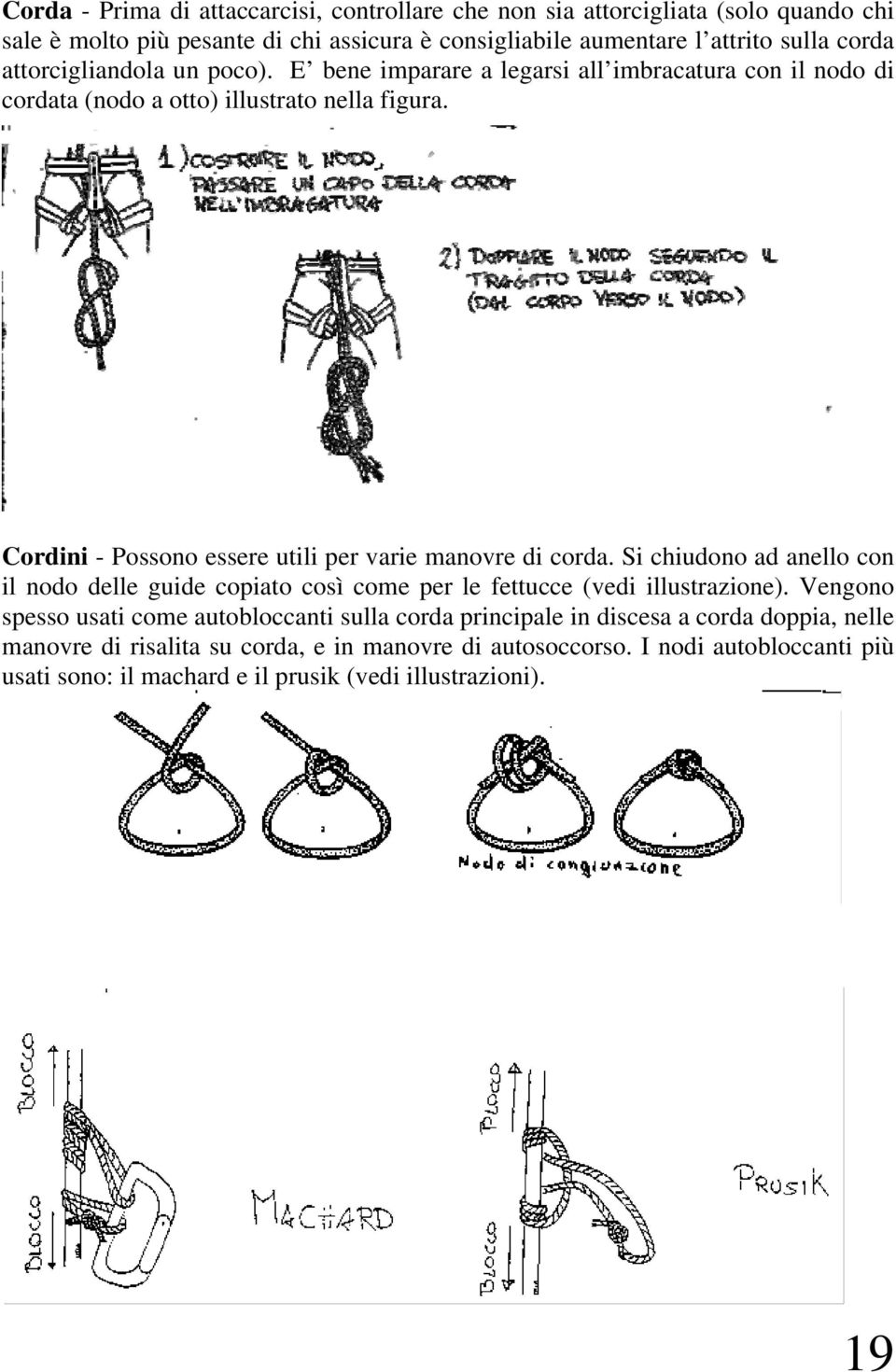 Cordini - Possono essere utili per varie manovre di corda. Si chiudono ad anello con il nodo delle guide copiato così come per le fettucce (vedi illustrazione).