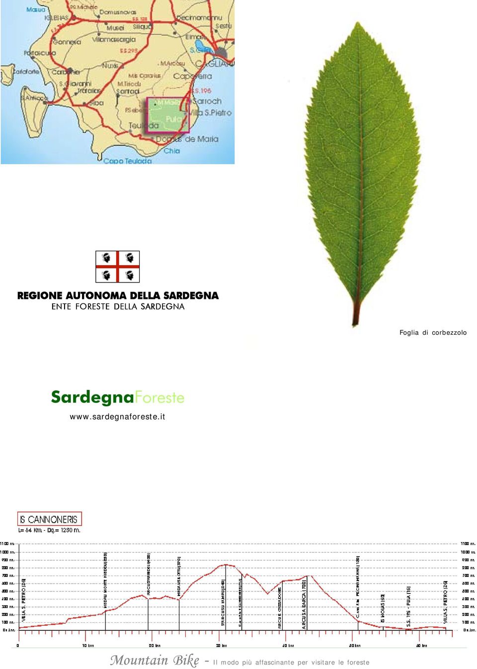 DELLA SARDEGNA Foglia di