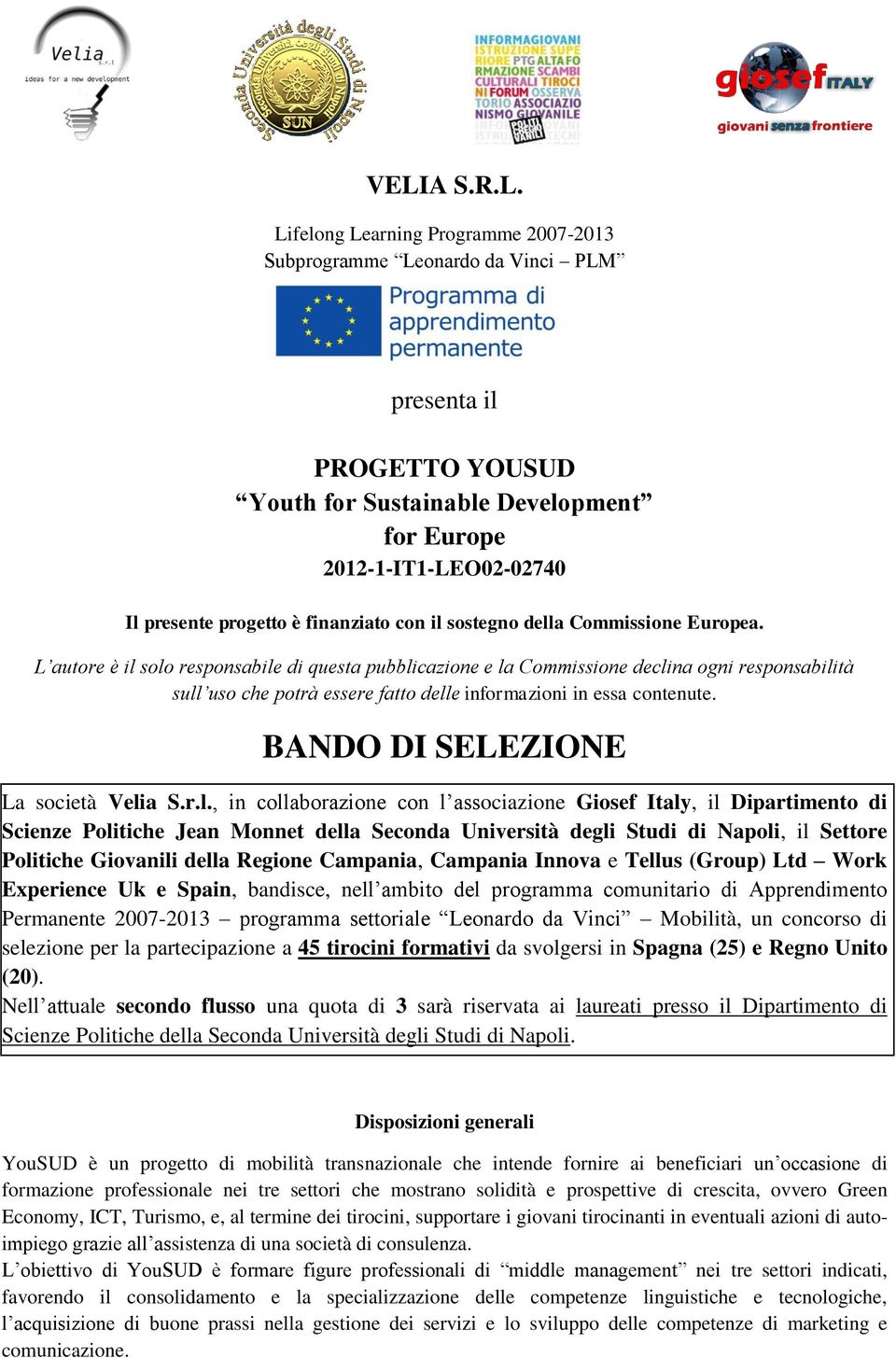 L autore è il solo responsabile di questa pubblicazione e la Commissione declina ogni responsabilità sull uso che potrà essere fatto delle informazioni in essa contenute.