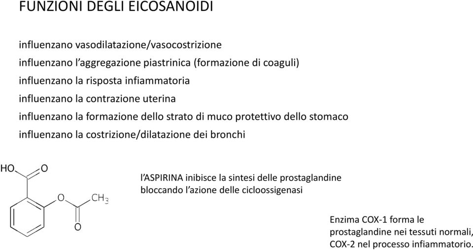 protettivo dello stomaco influenzano la costrizione/dilatazione dei bronchi l ASPIRINA inibisce la sintesi delle prostaglandine