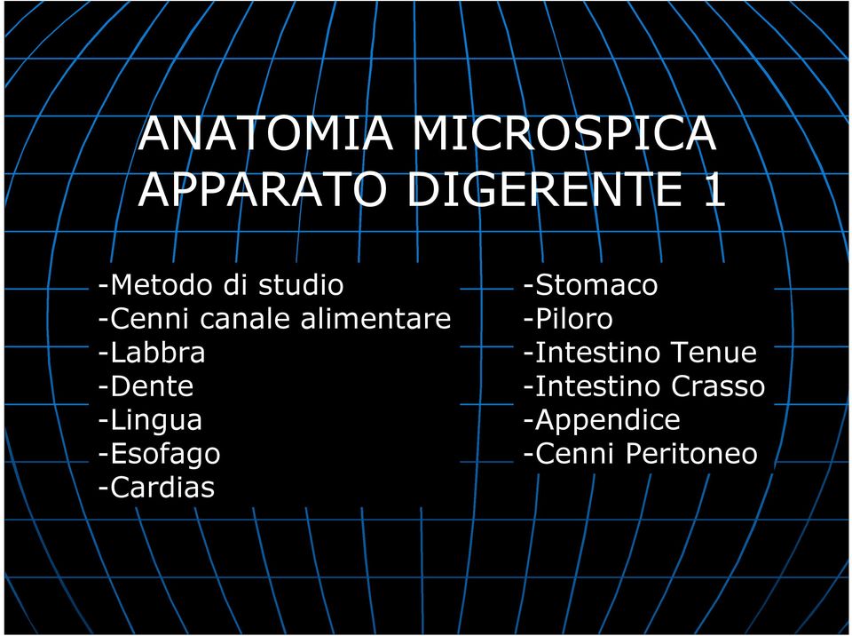 -Lingua -Esofago -Cardias -Stomaco -Piloro