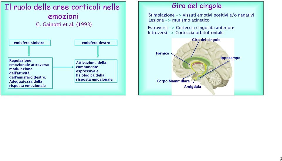 acinetico Estroversi -> Corteccia cingolata anteriore Introversi -> Corteccia orbitofrontale Giro del cingolo Regolazione emozionale