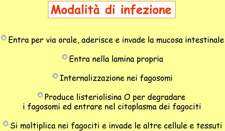 Produce listeriolisina O per degradare i fagosomi ed entrare nel