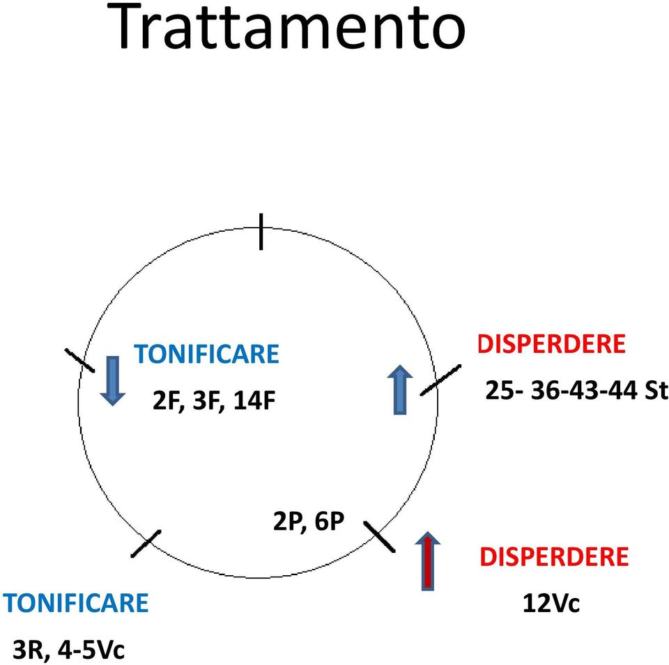 25-36-43-44 St TONIFICARE 3R,