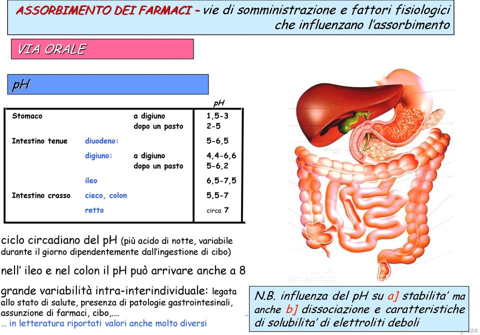 dall ingestione di cibo) nell ileo e nel colon il ph può arrivare anche a 8 grande variabilità intra-interindividuale: legata allo stato di salute, presenza di patologie gastrointesinali,