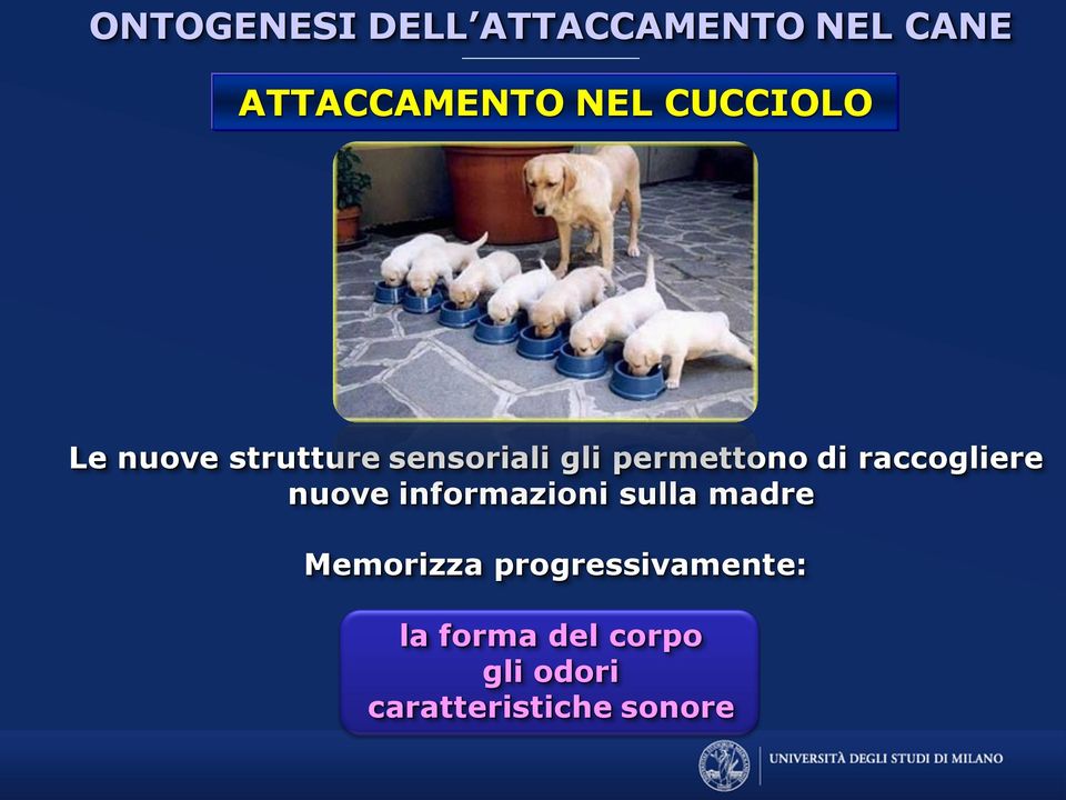 raccogliere nuove informazioni sulla madre Memorizza