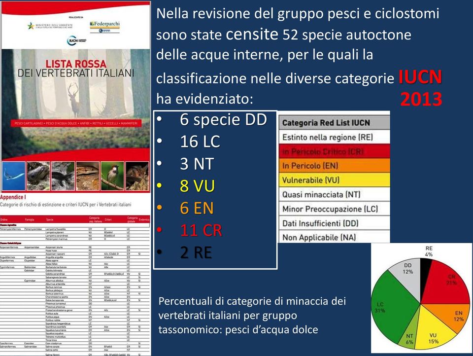 categorie IUCN ha evidenziato: 6 specie DD 16 LC 3 NT 8 VU 6 EN 11 CR 2 RE 2013