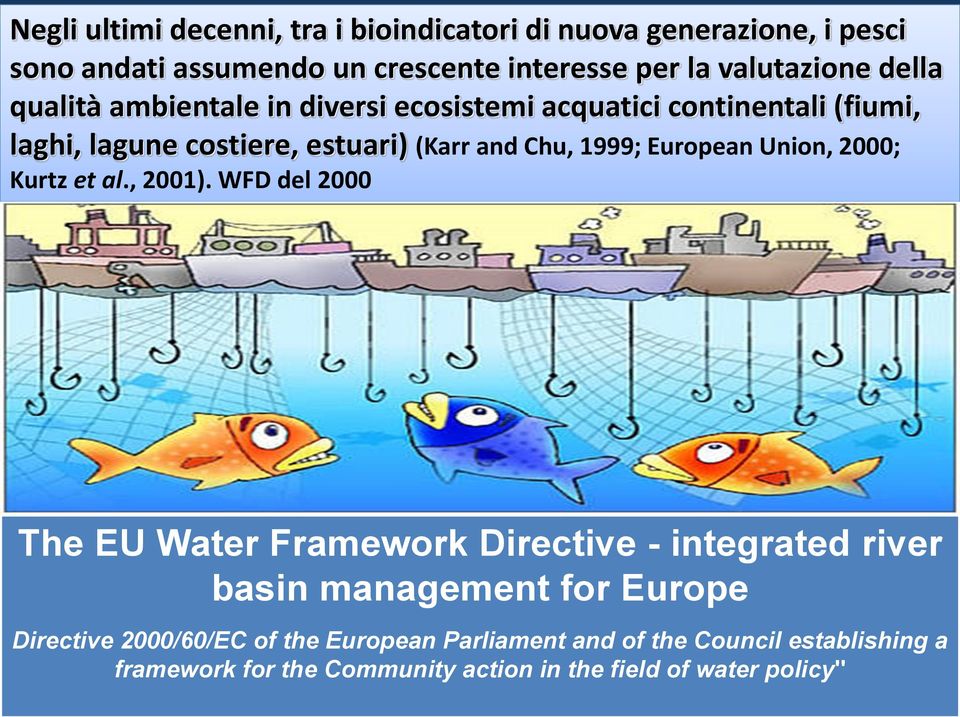 European Union, 2000; Kurtz et al., 2001).
