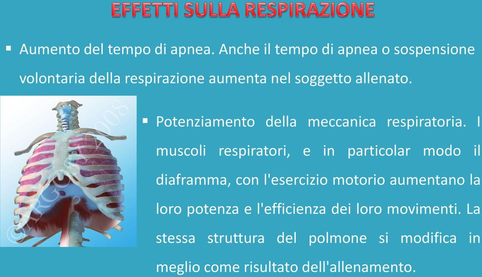 Potenziamento della meccanica respiratoria.