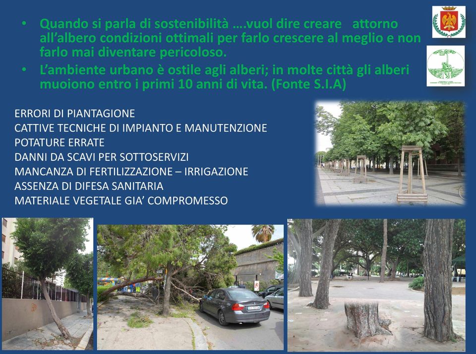 L ambiente urbano è ostile agli alberi; in molte città gli alberi muoiono entro i primi 10 anni di vita. (Fonte S.I.