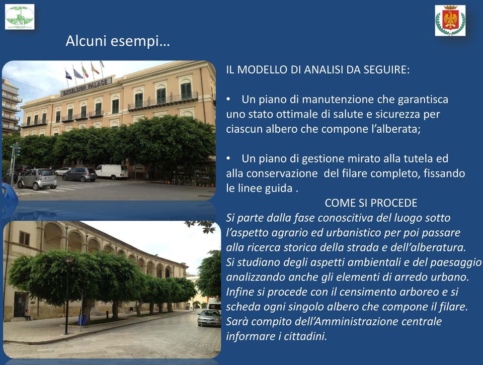 COME SI PROCEDE Si parte dalla fase conoscitiva del luogo sotto l aspetto agrario ed urbanistico per poi passare alla ricerca storica della strada e dell alberatura.