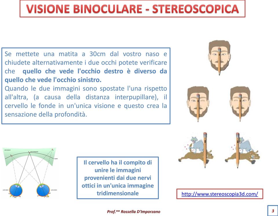 Quando le due immagini sono spostate l'una rispetto all'altra, (a causa della distanza interpupillare), il cervello le fonde in