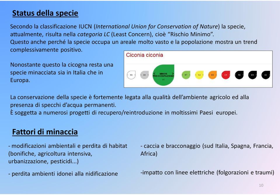 Nonostante questo la cicogna resta una specie minacciata sia in Italia che in Europa.