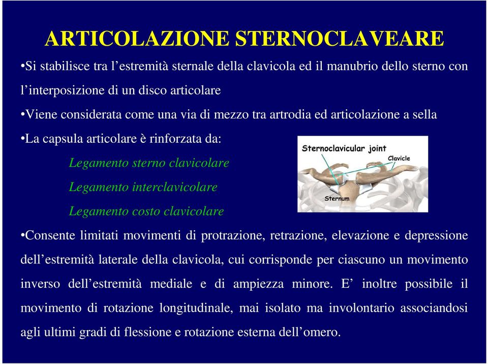 limitati movimenti di protrazione, retrazione, elevazione e depressione dell estremità laterale della clavicola, cui corrisponde per ciascuno un movimento inverso dell estremità