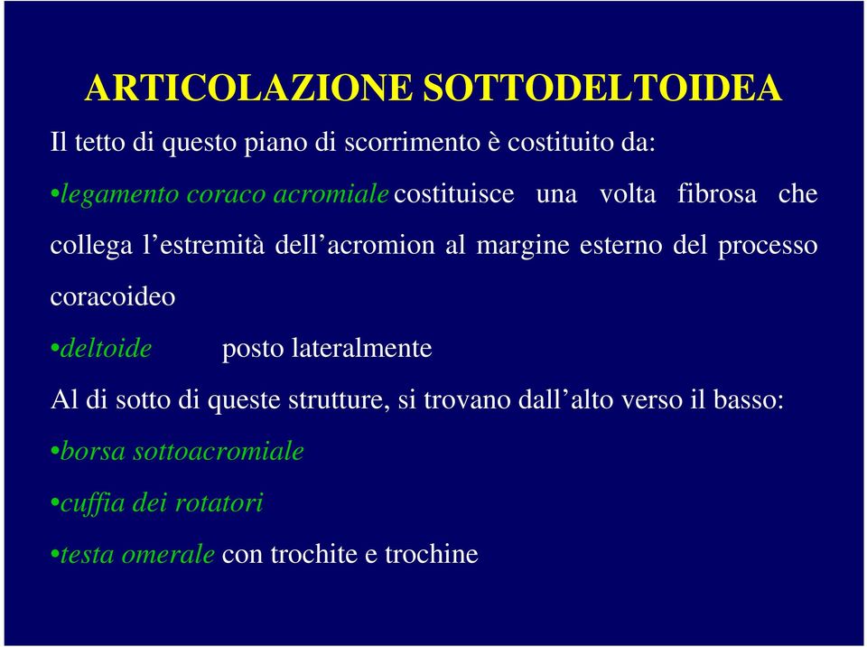 esterno del processo coracoideo deltoide posto lateralmente Al di sotto di queste strutture, si