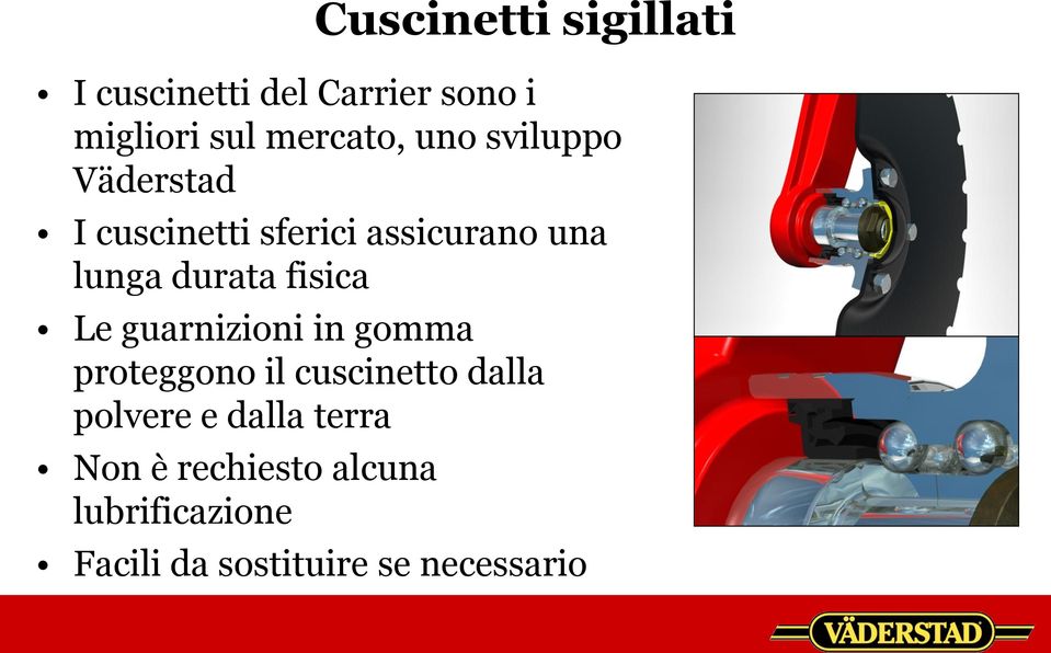 fisica Le guarnizioni in gomma proteggono il cuscinetto dalla polvere e