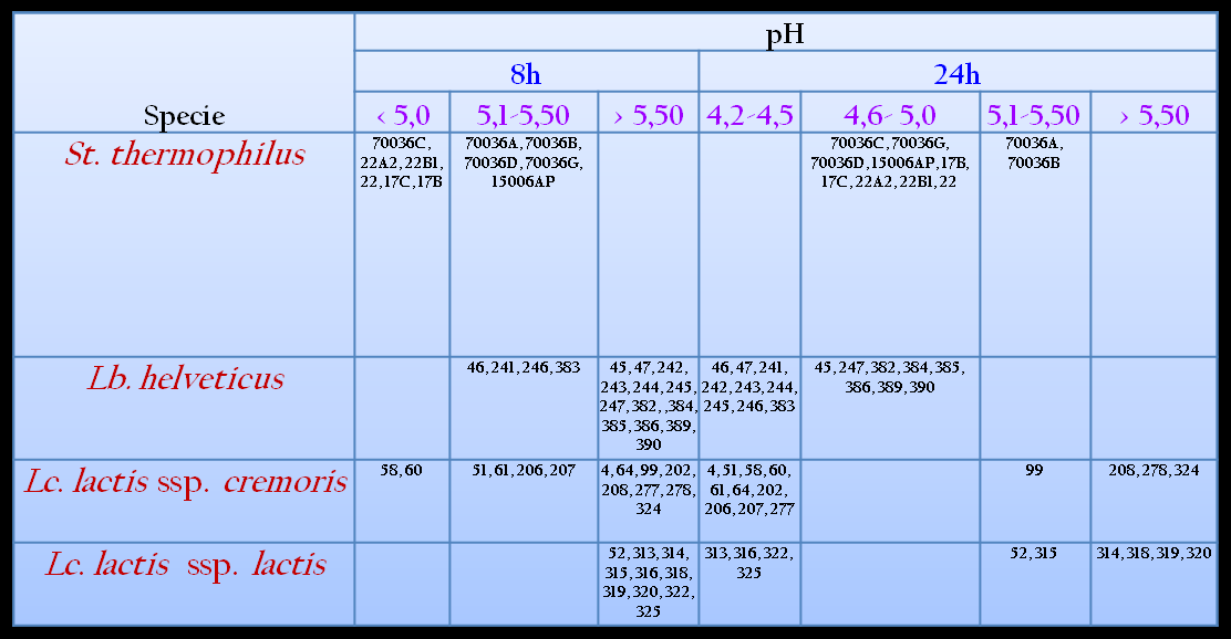 of Number of distinct Isolates PFGE RAPD genotype type type Bacterial species Lb. helveticus Lc. lactis ssp. cremoris Lc. lactis ssp. lactis St.