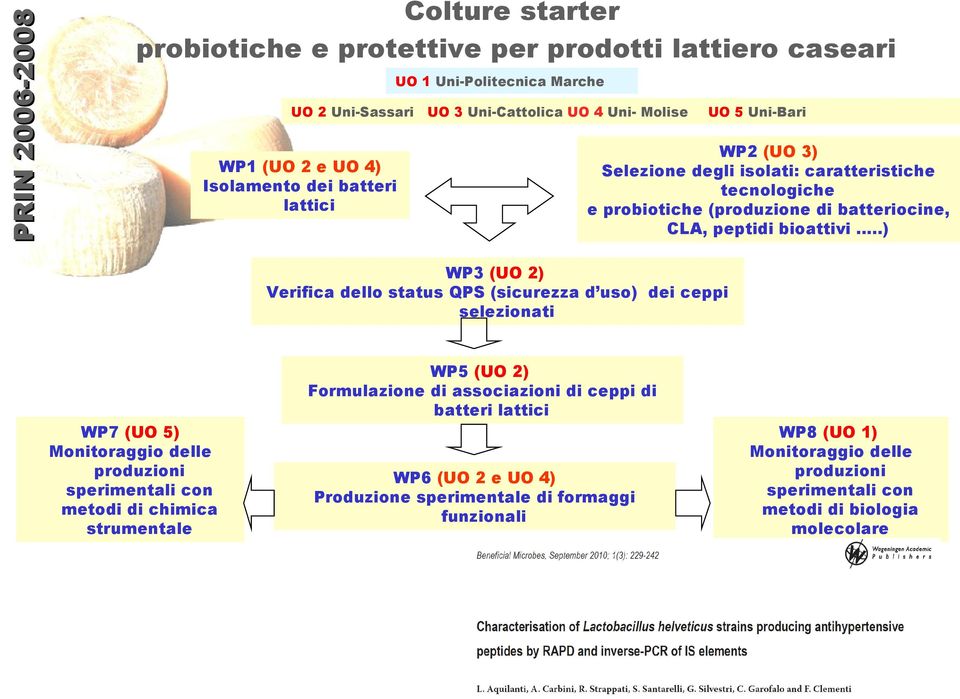 .) WP3 (UO 2) Verifica dello status QPS (sicurezza d uso) dei ceppi selezionati WP7 (UO 5) Monitoraggio delle produzioni sperimentali con metodi di chimica strumentale WP5 (UO 2)