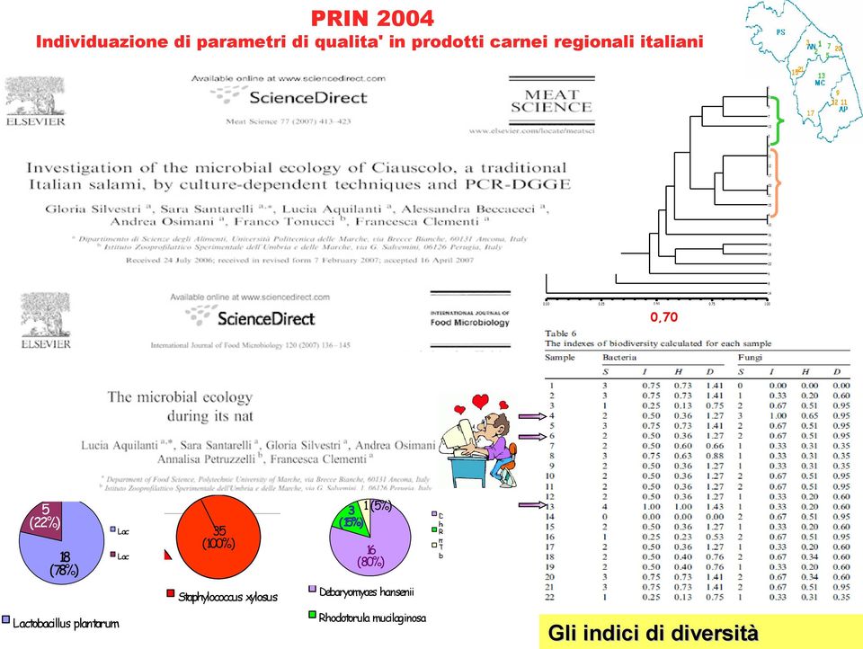 plantarum Staphylococcus xylosus a Debaryomyces hansenii Debaryomyces hansenii Debaryomyces hansenii Rhodotorula mucilaginosa Rhodotorula mucilaginosa Rhodotorula mucilaginosa