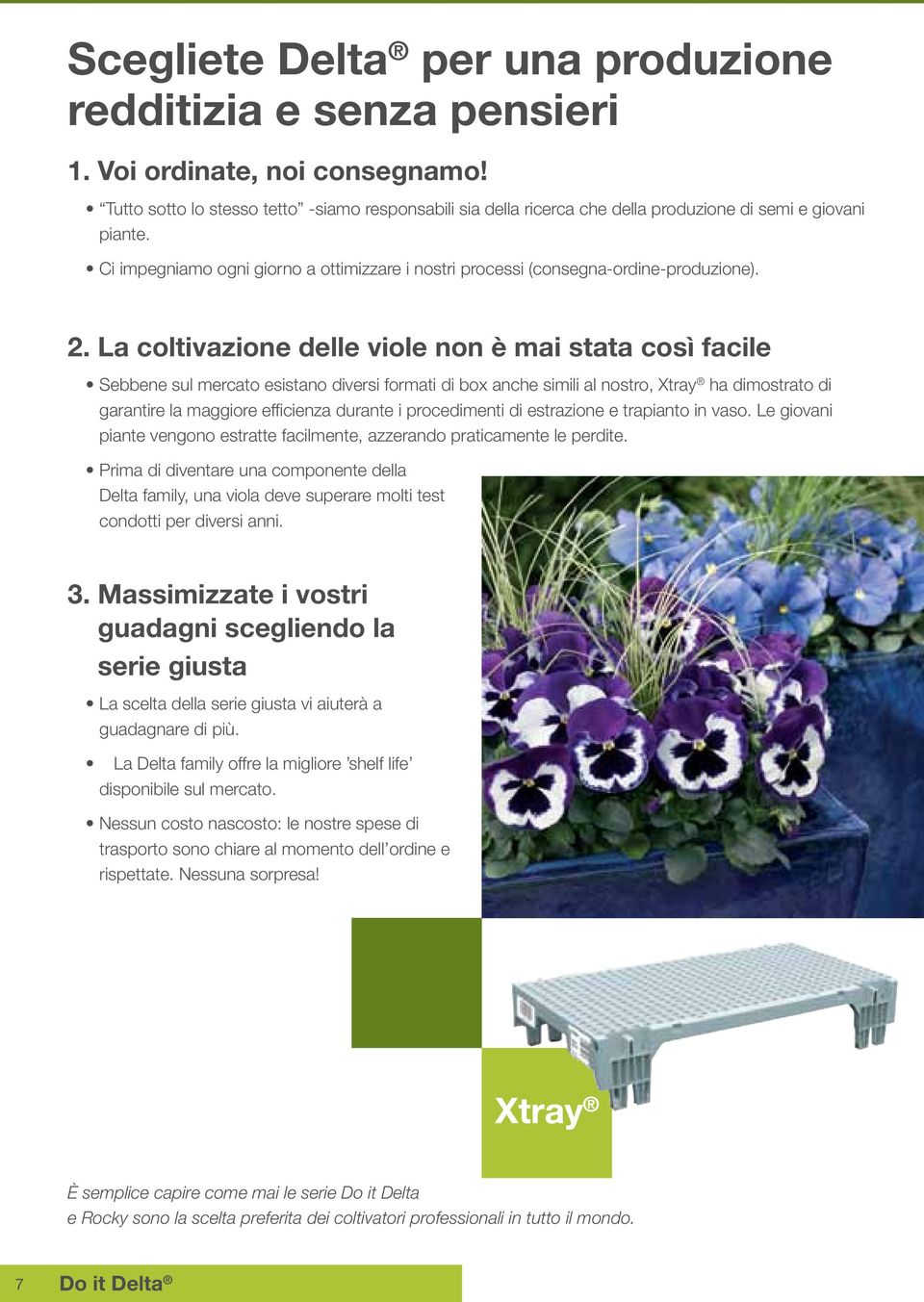 2. La coltivazione delle viole non è mai stata così facile Sebbene sul mercato esistano diversi formati di box anche simili al nostro, Xtray ha dimostrato di garantire la maggiore efficienza durante