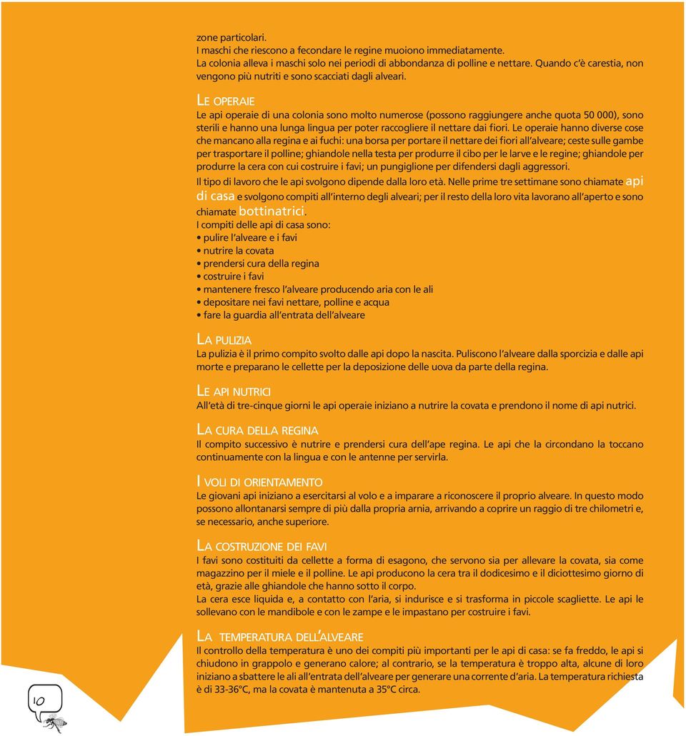 LE OPERAIE Le api operaie di una colonia sono molto numerose (possono raggiungere anche quota 50 000), sono sterili e hanno una lunga lingua per poter raccogliere il nettare dai fiori.