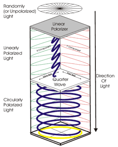 Tecniche di visualizzazione 3D: polarizzazione Polarizzazione circolare Utilizzando adeguati filtri, un onda è polarizzata circolarmente se ruota in un piano perpendicolare alla direzione di